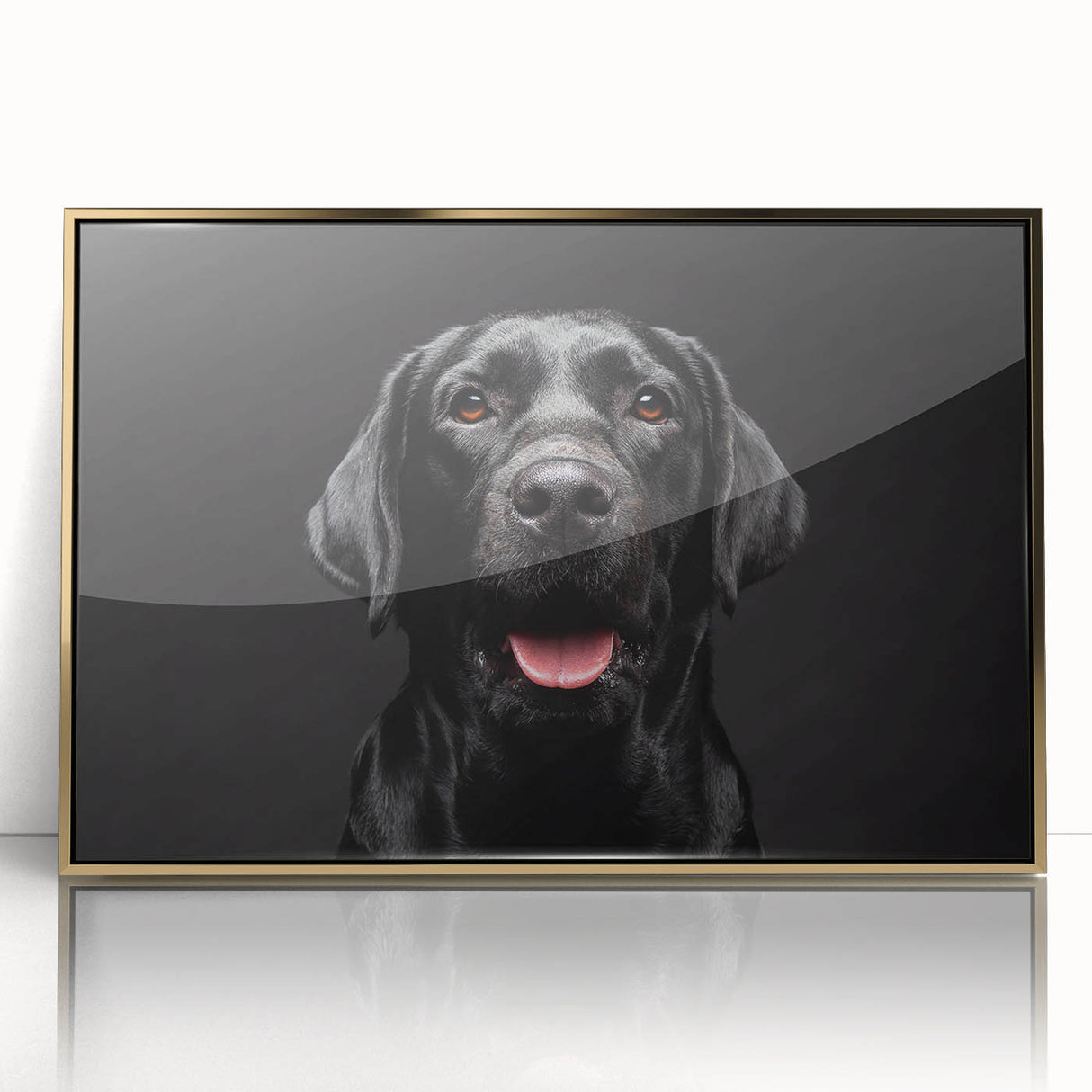Framed wall art featuring a vibrant design of various dog breeds in a wild-life theme, with a gold-acrylic front, ideal for animal lovers' home decor.