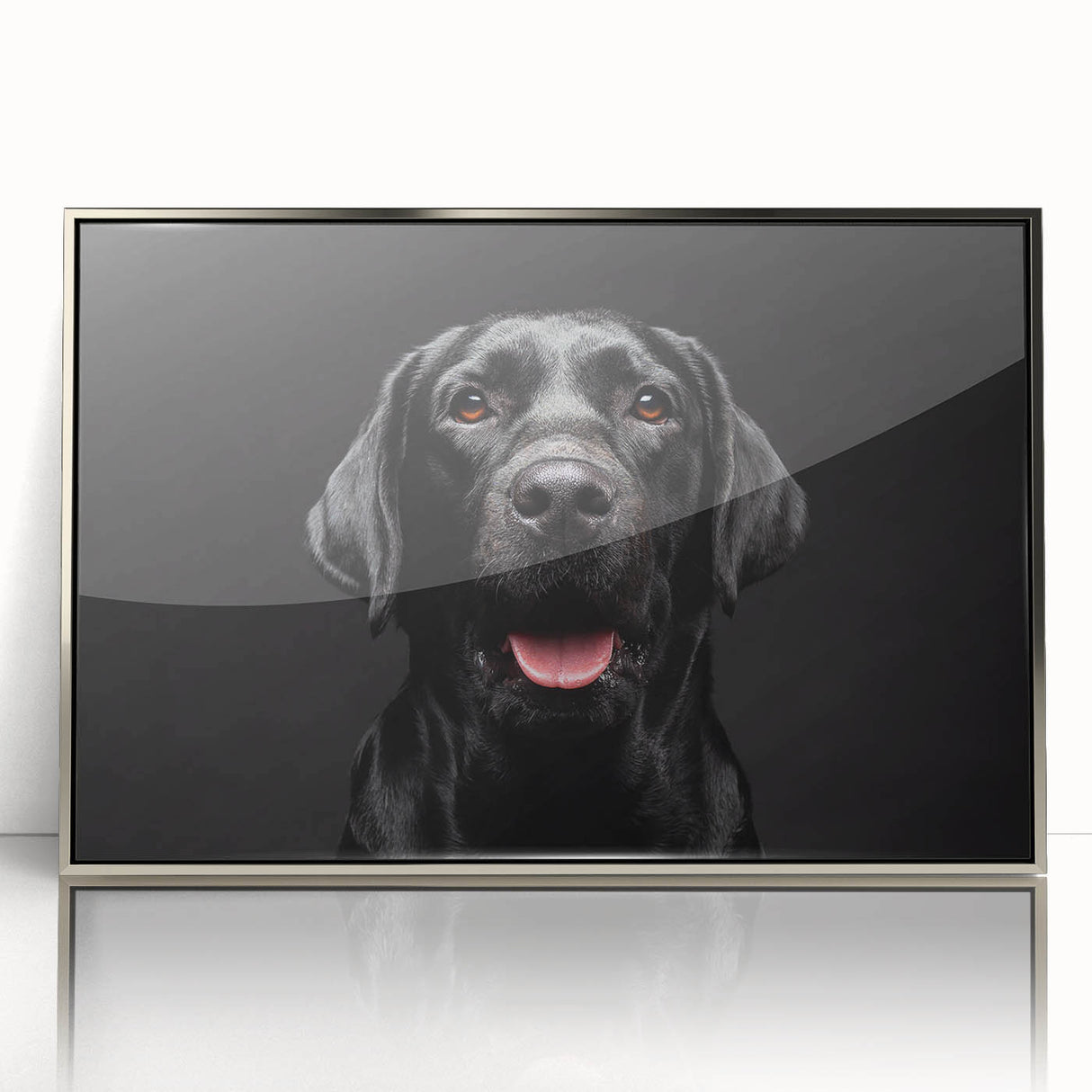 Framed acrylic wall art featuring a stylized design of wild dogs in a vibrant, colorful setting, showcasing intricate details and a contemporary silver frame. Perfect for animal lovers and modern decor enthusiasts.