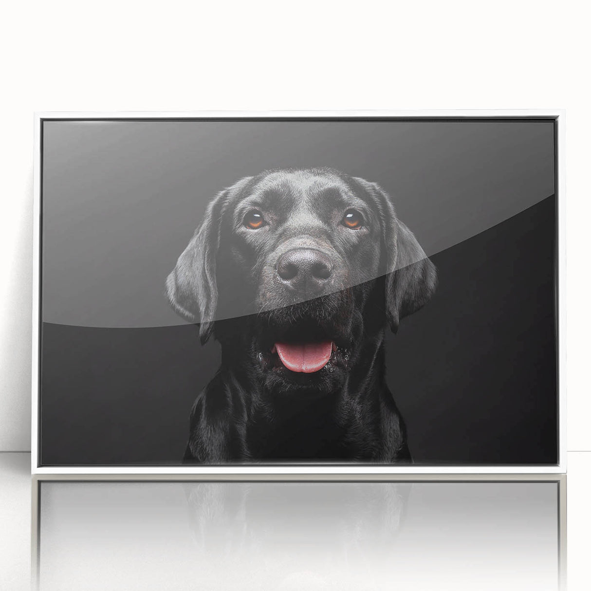 Framed acrylic wall art featuring a vibrant design of various dog breeds, showcasing their unique characteristics against a clean white background, perfect for animal lovers.