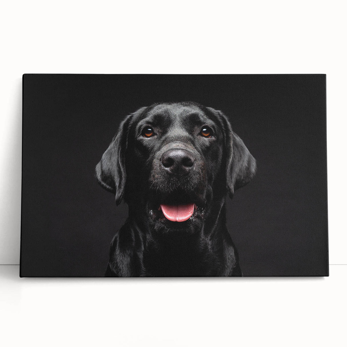 Stretched canvas wall art featuring playful dog illustrations in vibrant colors, perfect for animal lovers, adding a cheerful touch to home decor.