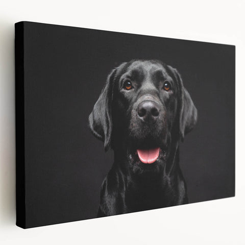 Stretched canvas wall art showcasing a playful collection of dogs in various poses, featuring vibrant colors and detailed expressions, perfect for animal lovers' decor.