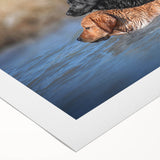 Rolled canvas showcasing a vibrant dog-themed wall art design featuring various breeds in playful poses, ideal for pet lovers' home decor.