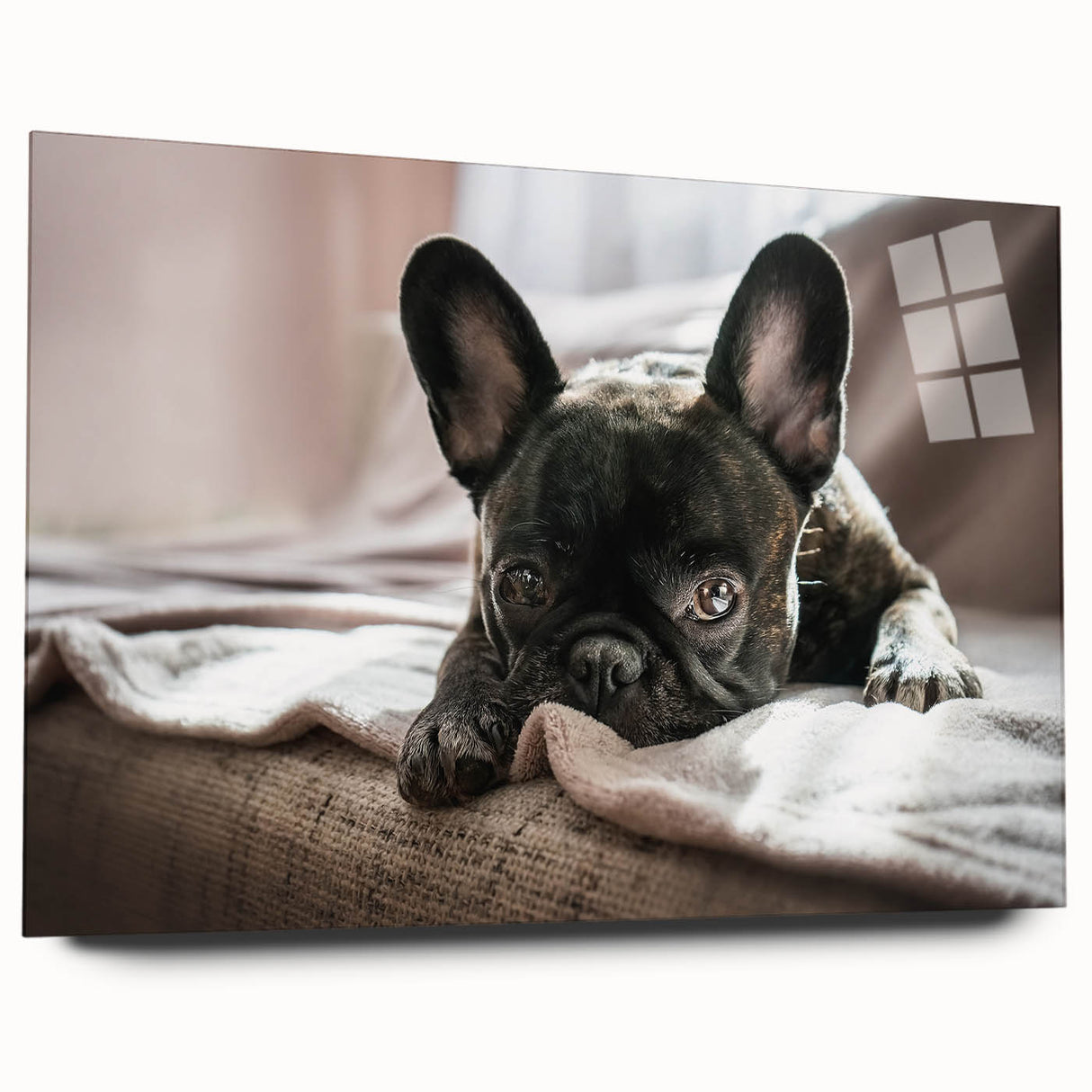 Acrylic wall art featuring a vibrant design of various dog breeds against a colorful background, showcasing intricate details and textures, perfect for animal lovers.