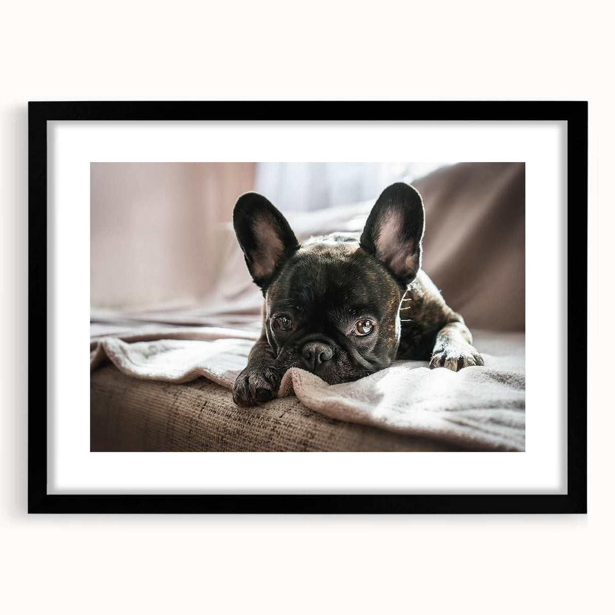 Black-framed wall art collection featuring a vibrant design of various dog breeds, showcasing their unique characteristics and playful expressions, perfect for animal lovers.