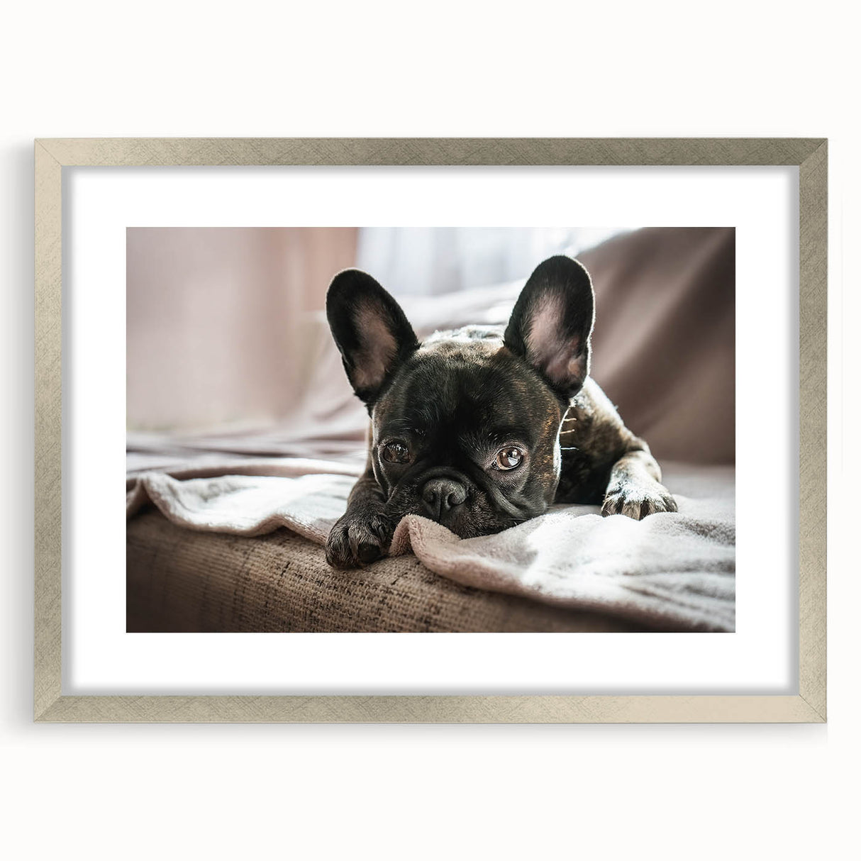 Framed wall art collection featuring a sleek silver border, showcasing various dog designs in a vibrant, artistic style. Ideal for pet lovers seeking trendy home decor.