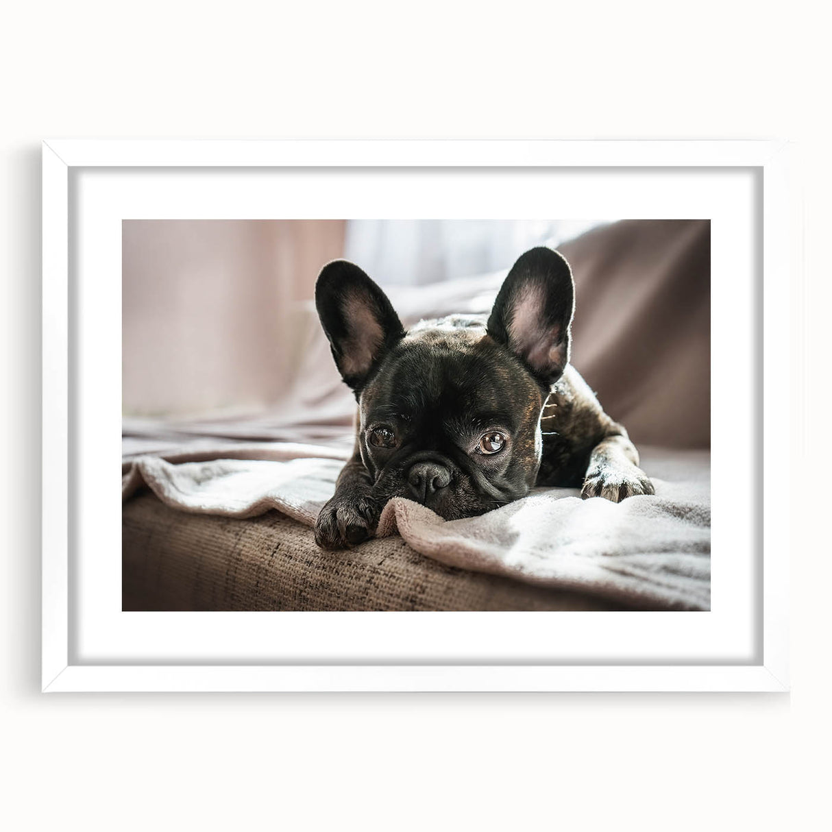 Framed wall art collection featuring a vibrant dog design, set in a sleek white frame with a mat, showcasing playful canine illustrations perfect for home decor.