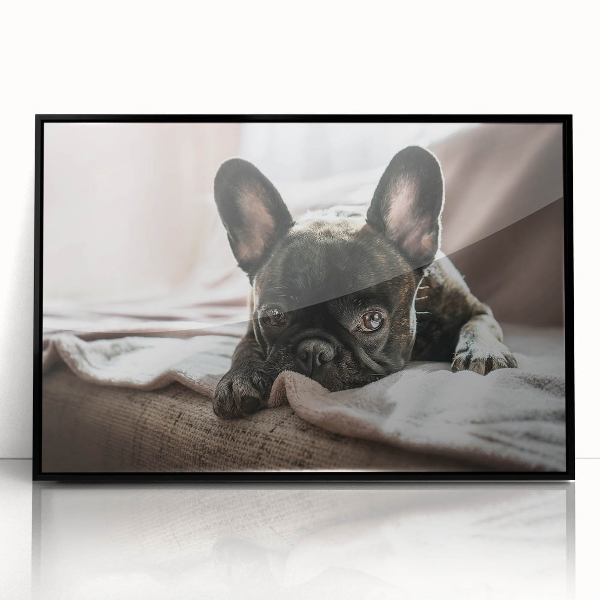 Framed acrylic wall art showcasing a vibrant dogs design, featuring a black frame and a sleek front view, perfect for animal lovers and home decor enthusiasts.