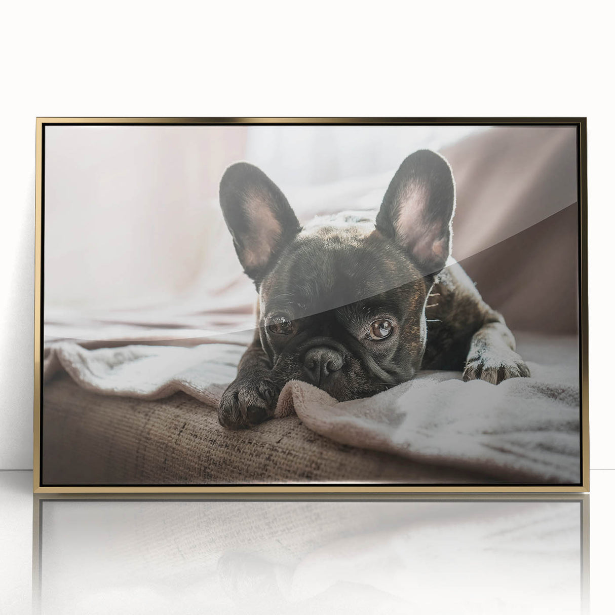 Framed wall art collection featuring a vibrant dog design with a gold-acrylic finish, ideal for animal lovers' home decor, showcasing playful canine illustrations against a stylish backdrop.