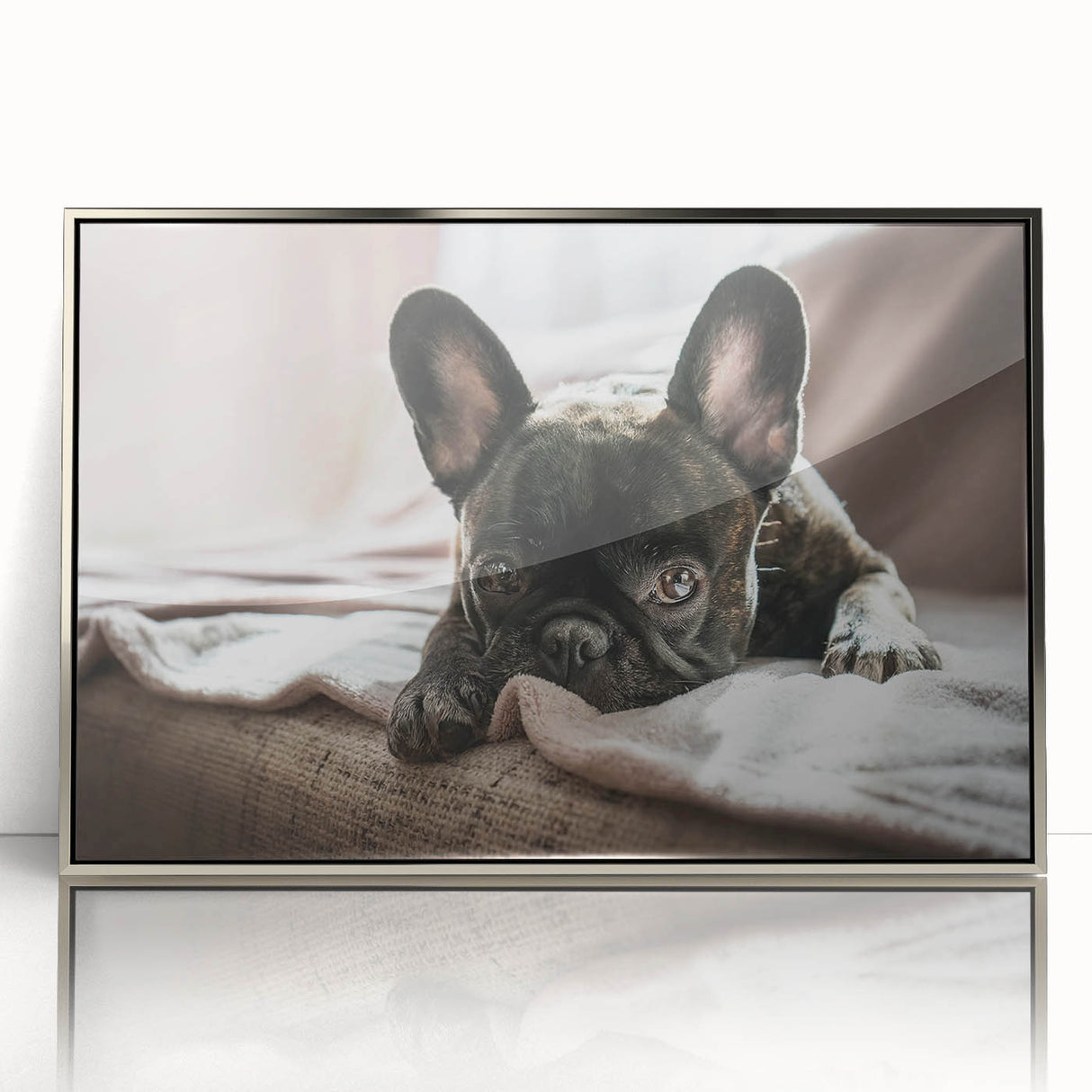 Framed acrylic wall art collection depicting a vibrant design of various dog breeds, showcasing a silver frame and detailed animal illustrations, perfect for pet lovers.
