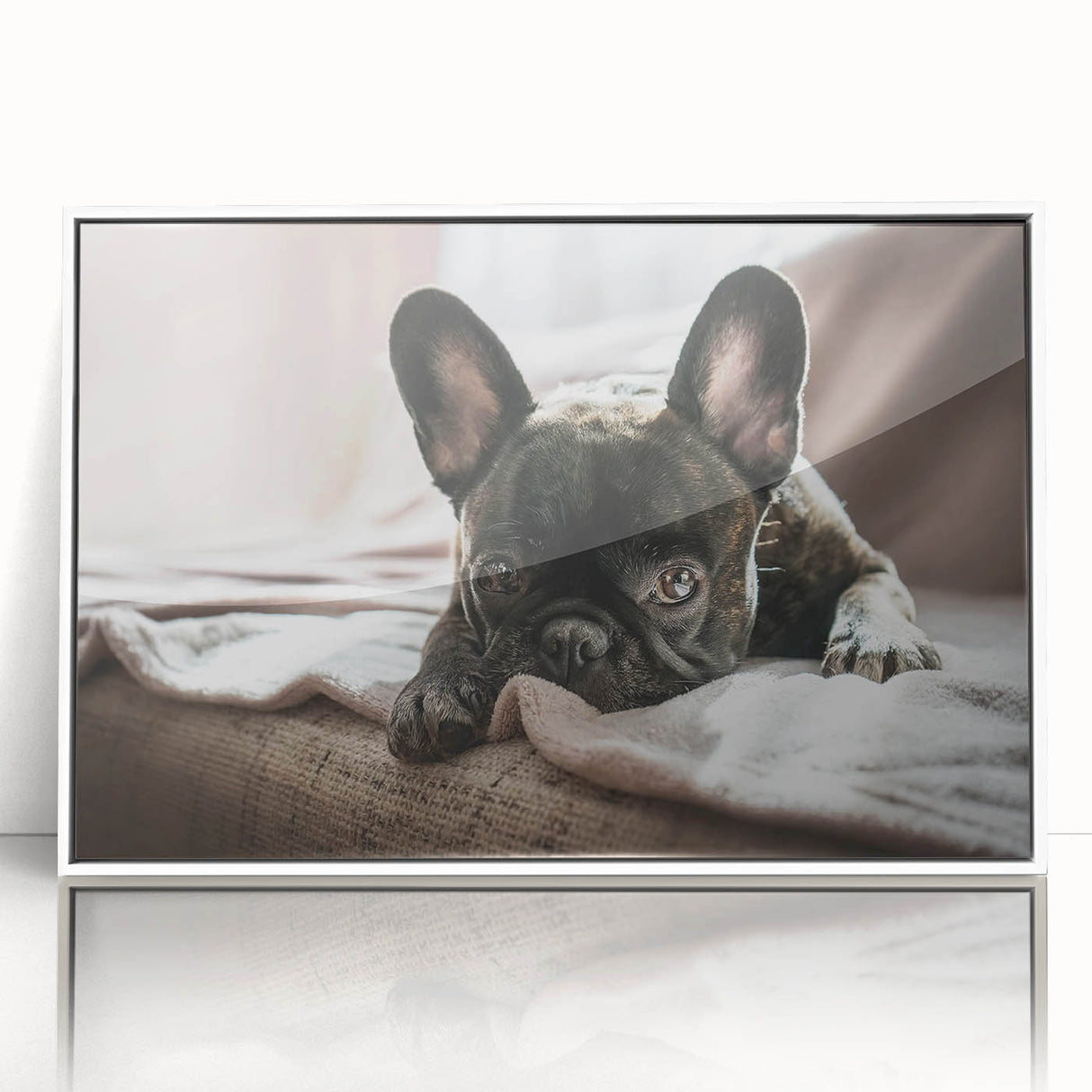 Framed wall art collection showcasing a vibrant dog-themed design, featuring colorful illustrations on a white background, perfect for animal lovers' decor.