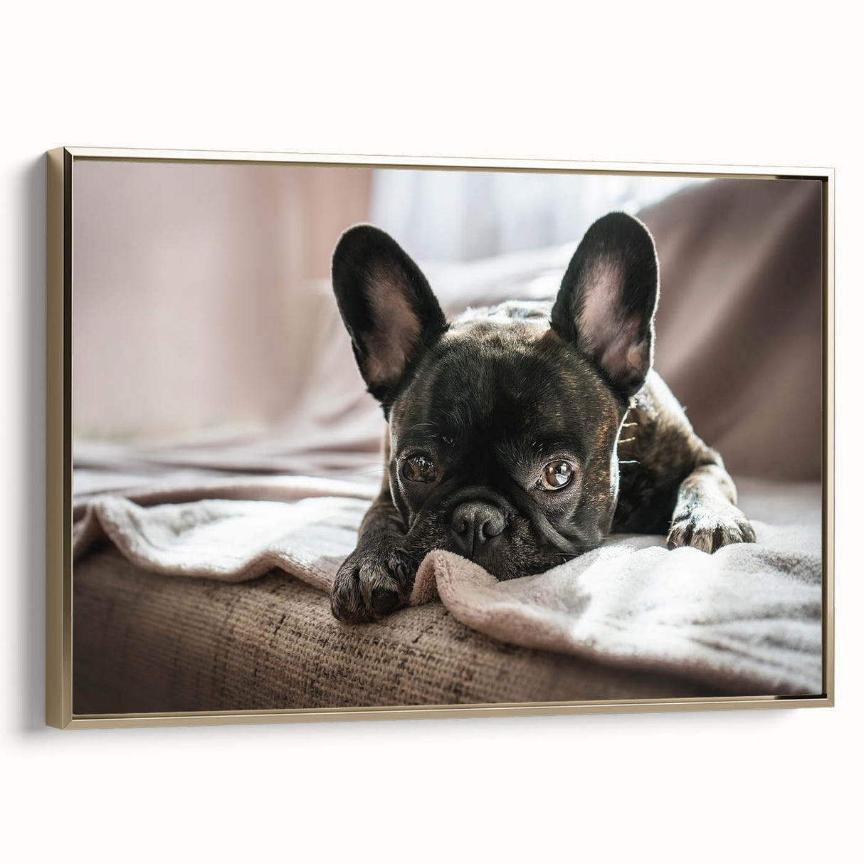 Framed canvas wall art showcasing a stylish design of dogs in a wild-life theme, featuring a gold frame and side view, perfect for modern decor enthusiasts.