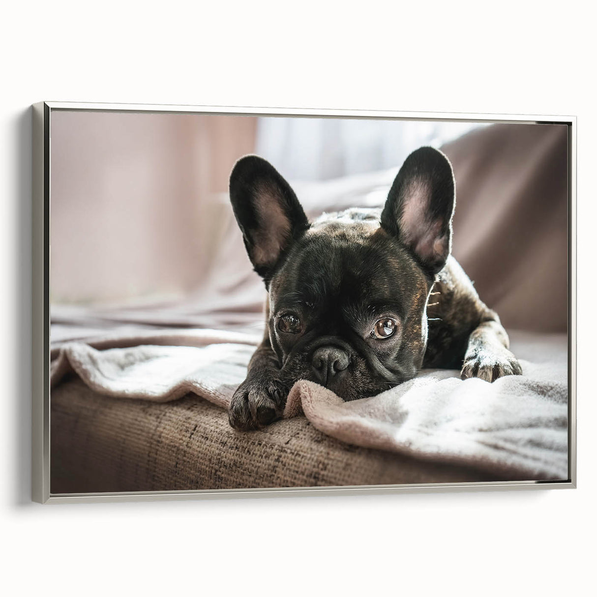 Framed canvas wall art featuring a colorful dog design, showcasing various breeds in a vibrant, playful style against a silver frame, ideal for animal lovers' decor.