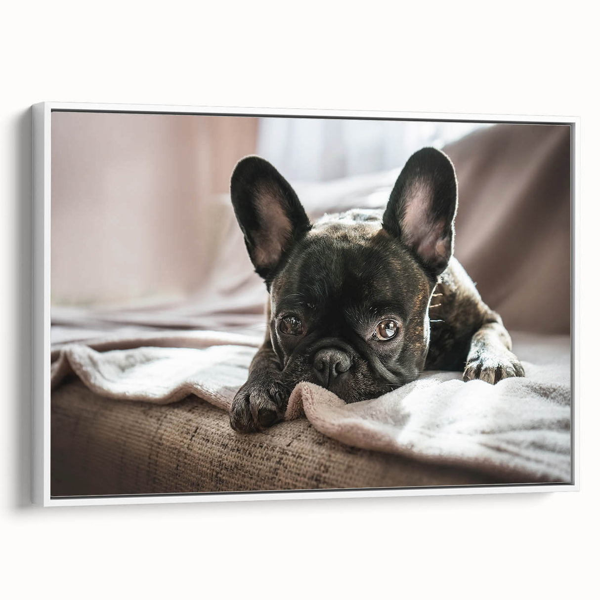 Framed wall art canvas showcasing a vibrant dogs design from the Animals A Wild Life collection, featuring a white frame and side view display, perfect for pet lovers.