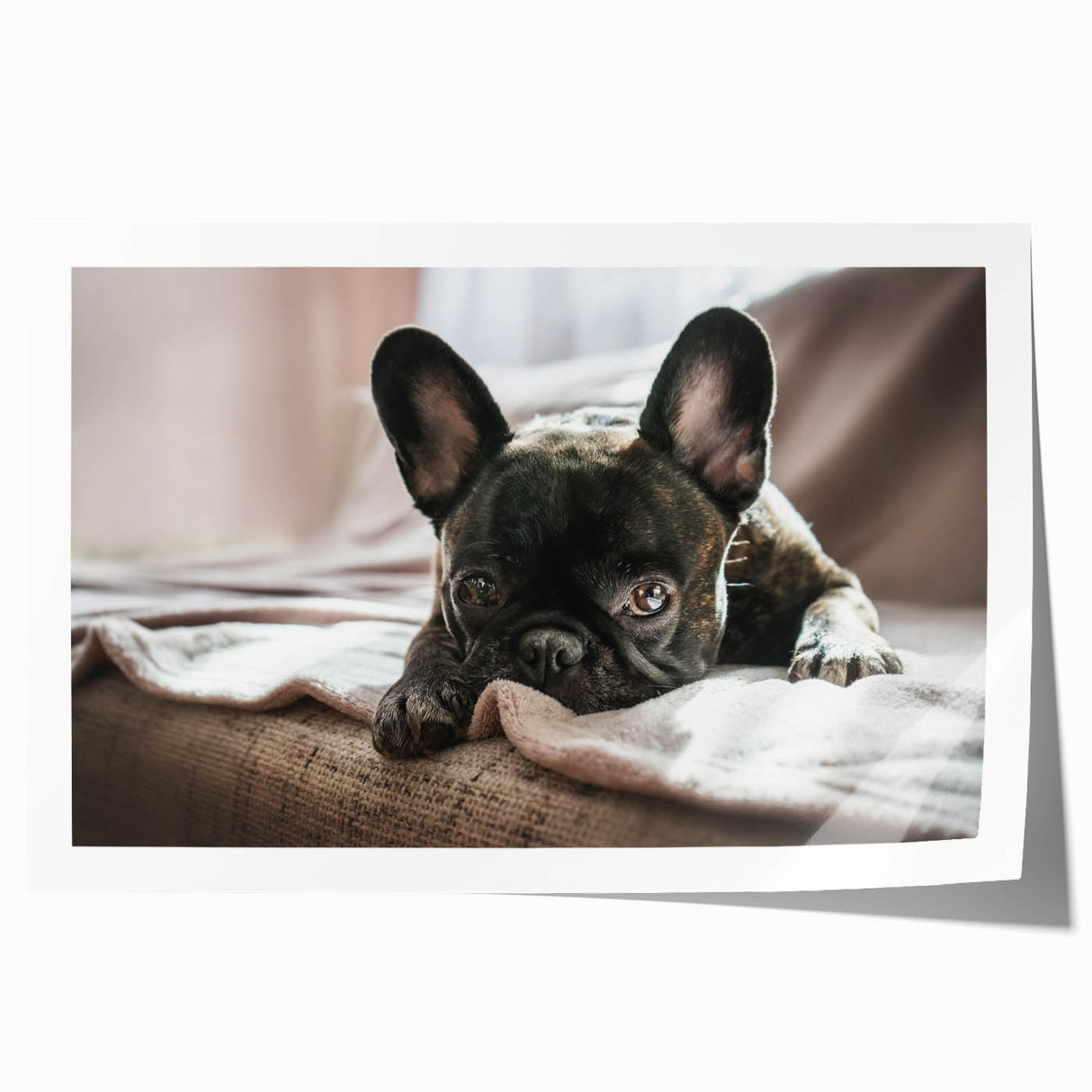 Colorful wall art print featuring various dog breeds illustrated in a playful, whimsical style, perfect for pet lovers, displayed rolled in a protective tube.