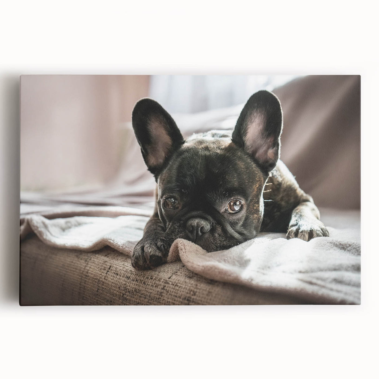 Stretched canvas wall art depicting vibrant dogs in a wild life design, showcasing rich colors and intricate details, perfect for animal lovers' decor.