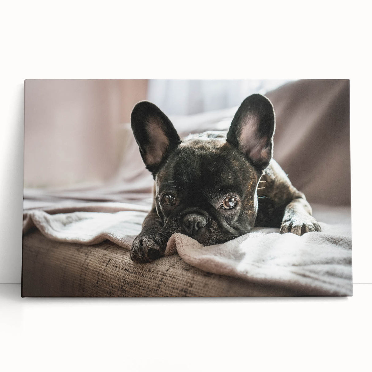 Stretched canvas artwork showcasing a vibrant collection of wild dog designs, featuring rich colors and intricate details, perfect for animal lovers and home decor enthusiasts.