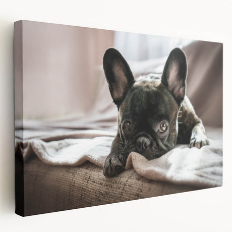 Stretched canvas wall art featuring a vibrant design of wild dogs in a natural setting, showcasing detailed fur textures and earthy colors, perfect for animal lovers.