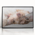 Framed wall art collection featuring a design of various dog breeds in a vibrant, colorful style. The artwork is displayed in a sleek black frame, ideal for animal lovers and home decor enthusiasts.
