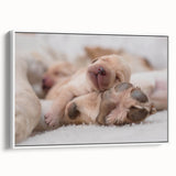 Framed wall art showcasing a collection of dog-themed designs in a modern style, featuring vibrant colors on a white background, perfect for animal lovers' decor.