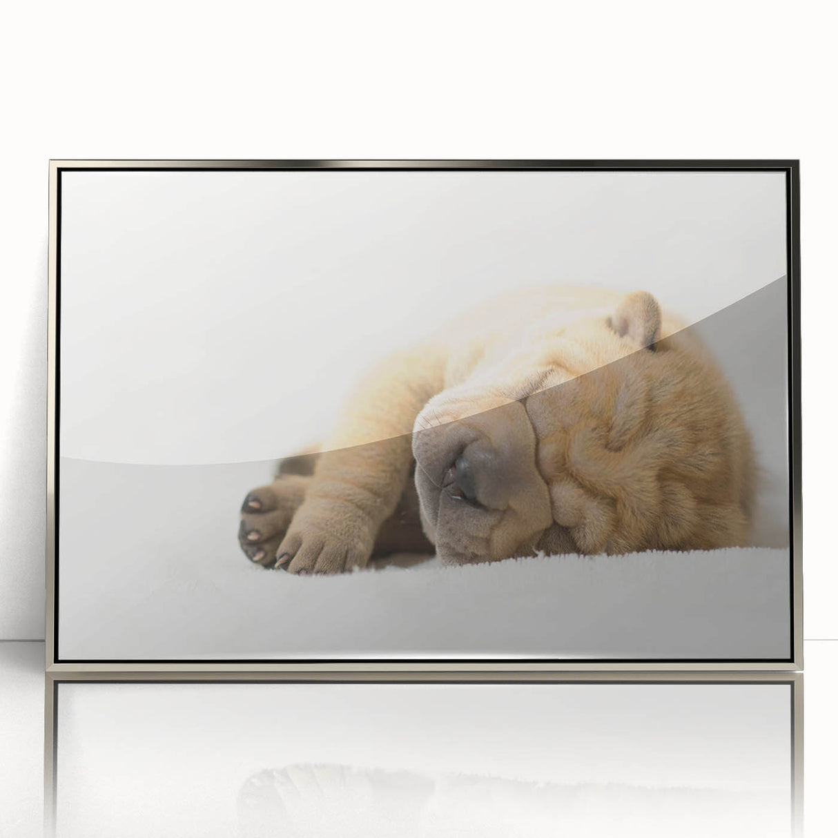Framed acrylic wall art showcasing a vibrant dog design from the "Animals A Wild Life" collection, featuring a sleek silver frame and a modern aesthetic, perfect for pet lovers.