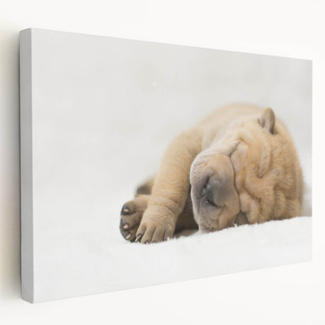 Stretched canvas wall art showcasing a vibrant dog design from the "A Wild Life" collection, featuring rich colors and intricate details, ideal for animal lovers' decor.