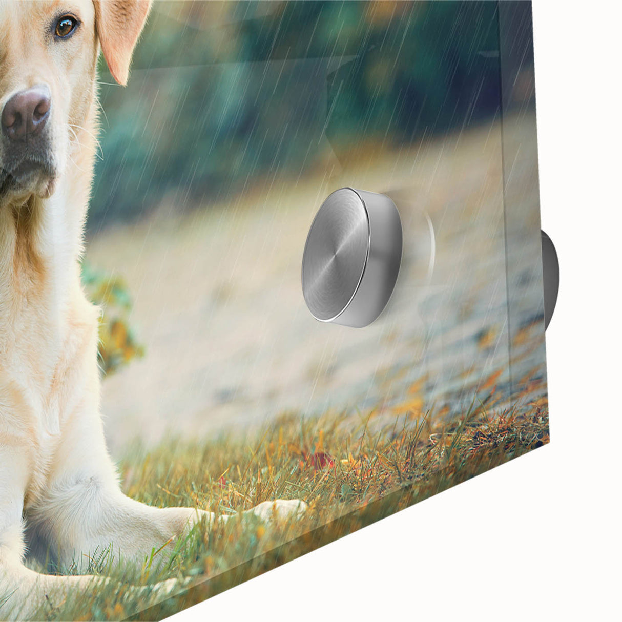 Close-up of a vibrant acrylic wall art piece depicting various dog breeds in a wild setting, showcasing intricate details and vivid colors, perfect for animal lovers.