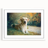 Framed white wall art featuring a vibrant dog design from the "Animals A Wild Life" collection, showcasing intricate details and colors, ideal for animal lovers.
