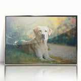 Framed acrylic wall art featuring a stylish dog design from the "Animals A Wild Life" collection, showcasing vibrant colors and a sleek silver frame for modern decor.