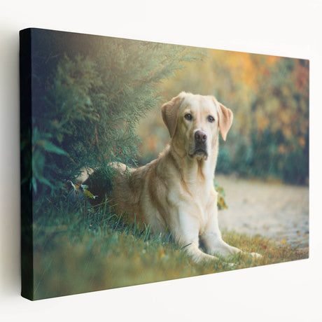 Stretched canvas wall art showcasing a vibrant dog design from the "Animals A Wild Life" collection, featuring colorful, playful illustrations perfect for pet lovers’ home decor.