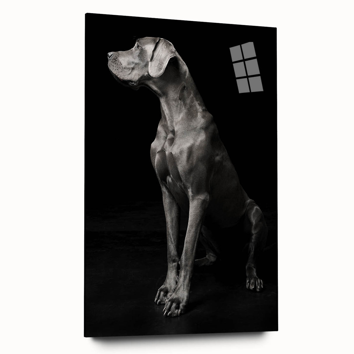 Majestic Great Dane Dog Wall Decor - Dog Art Prints & Gifts