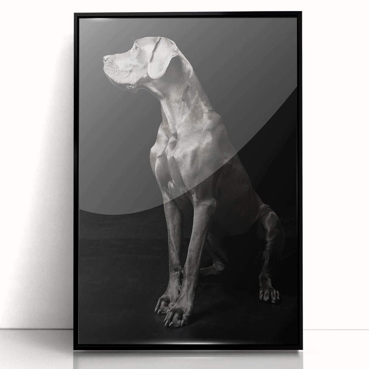 Majestic Great Dane Dog Wall Decor - Dog Art Prints & Gifts