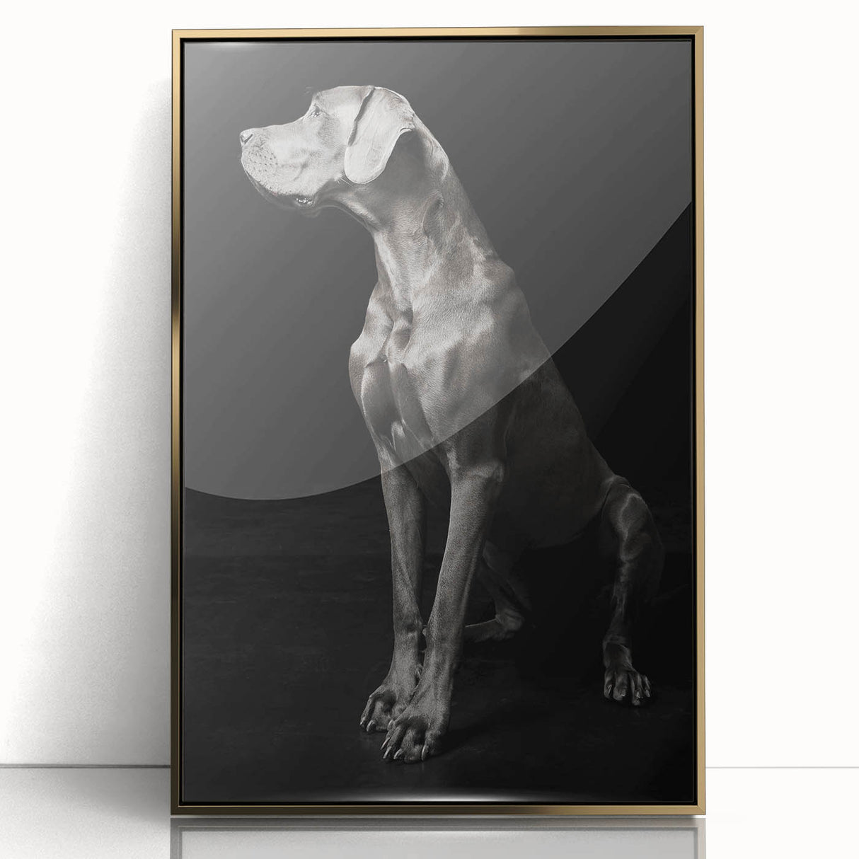 Majestic Great Dane Dog Wall Decor - Dog Art Prints & Gifts