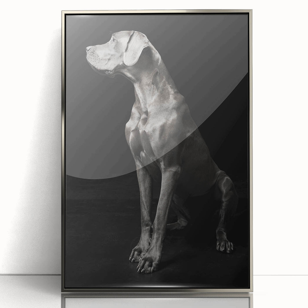 Majestic Great Dane Dog Wall Decor - Dog Art Prints & Gifts