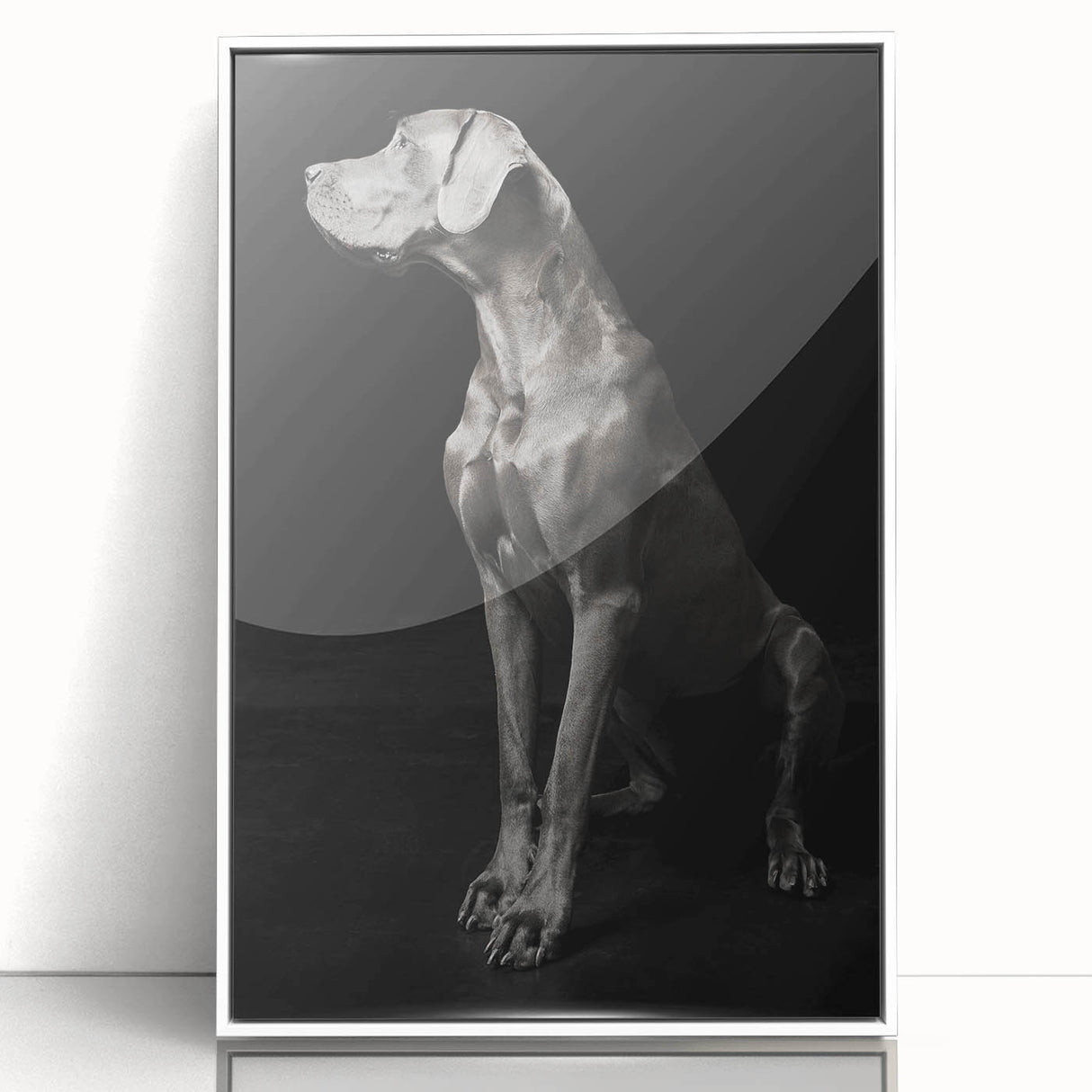 Majestic Great Dane Dog Wall Decor - Dog Art Prints & Gifts