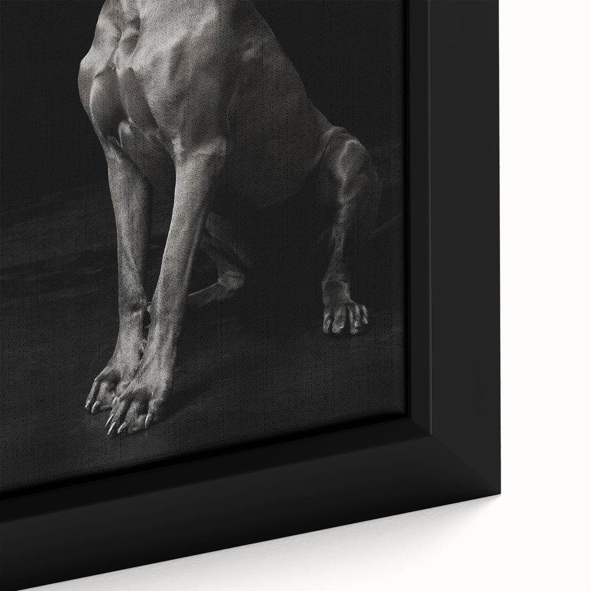 Majestic Great Dane Dog Wall Decor - Dog Art Prints & Gifts