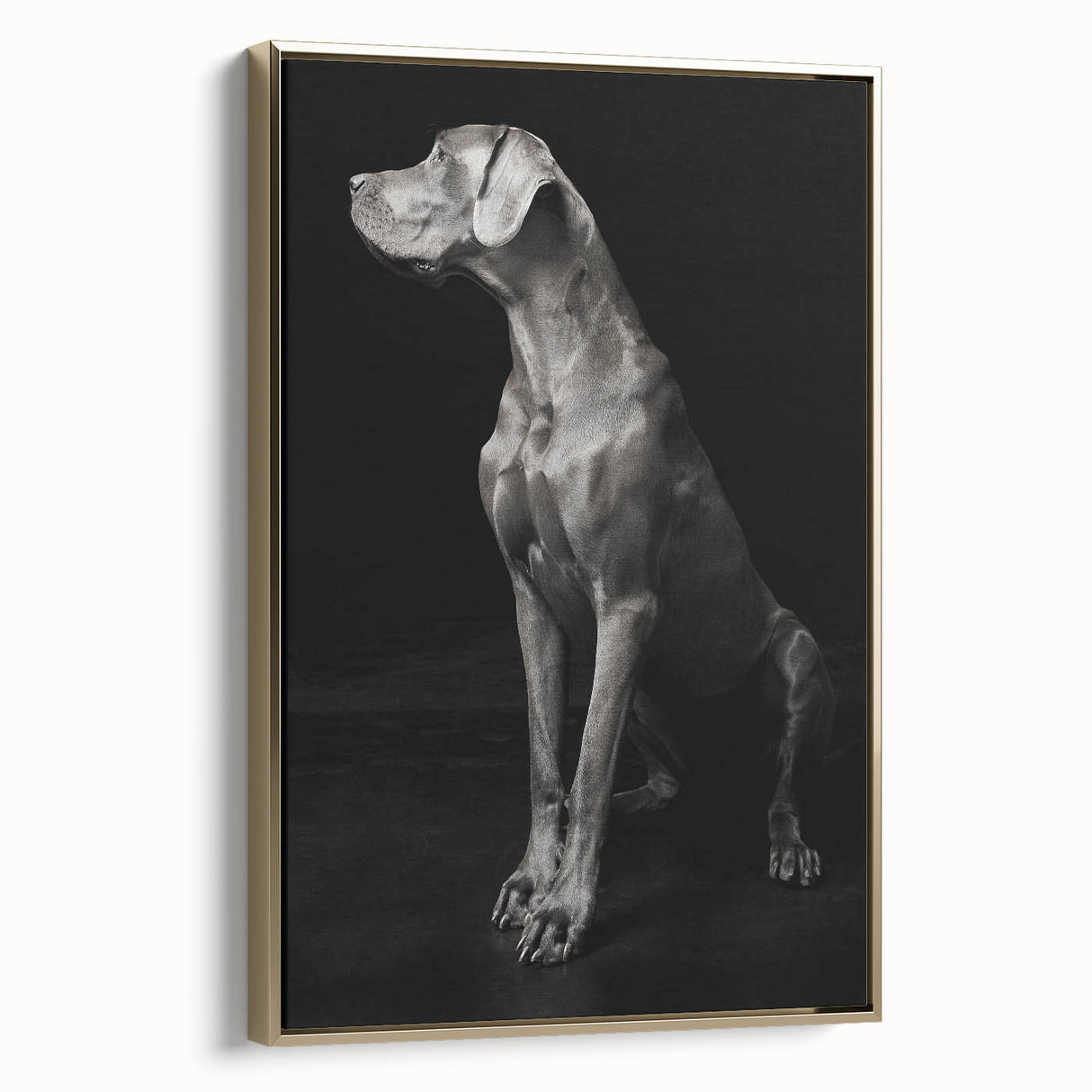 Majestic Great Dane Dog Wall Decor - Dog Art Prints & Gifts