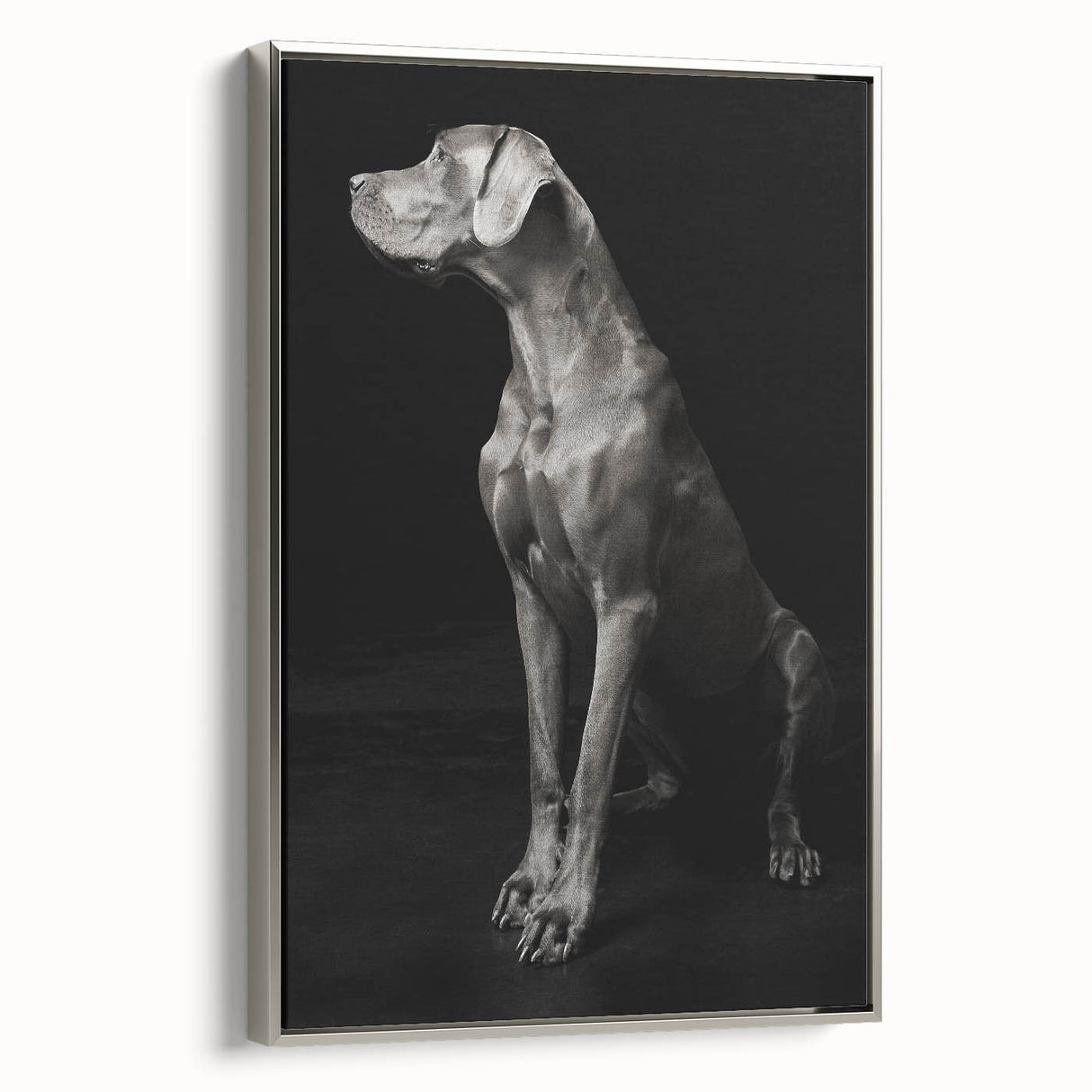 Majestic Great Dane Dog Wall Decor - Dog Art Prints & Gifts