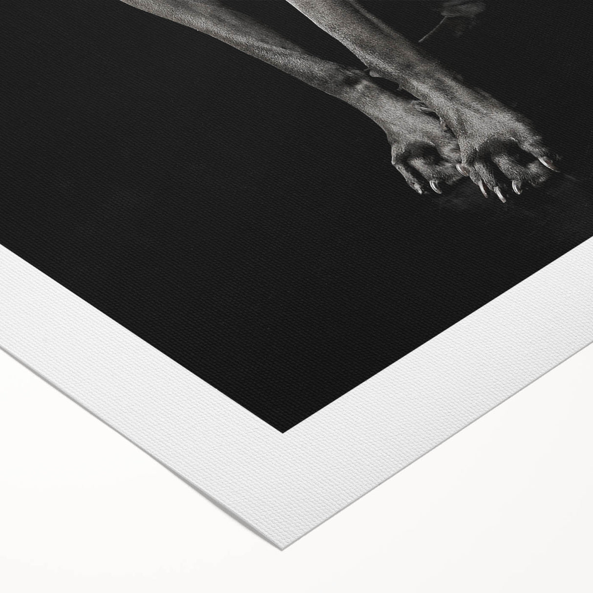 Majestic Great Dane Dog Wall Decor - Dog Art Prints & Gifts