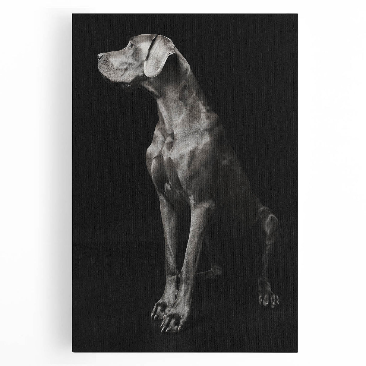 Majestic Great Dane Dog Wall Decor - Dog Art Prints & Gifts