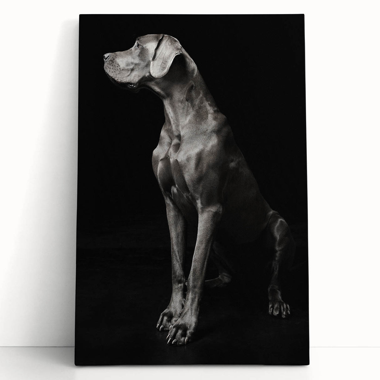 Majestic Great Dane Dog Wall Decor - Dog Art Prints & Gifts