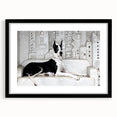 Black-framed wall art featuring a vibrant collection of wildlife dog designs, showcasing detailed illustrations and a modern aesthetic, ideal for animal lovers' decor.