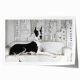 Vibrant wall art print featuring a playful design of various dog breeds in a wild setting, showcasing vivid colors and intricate details, ideal for animal lovers.