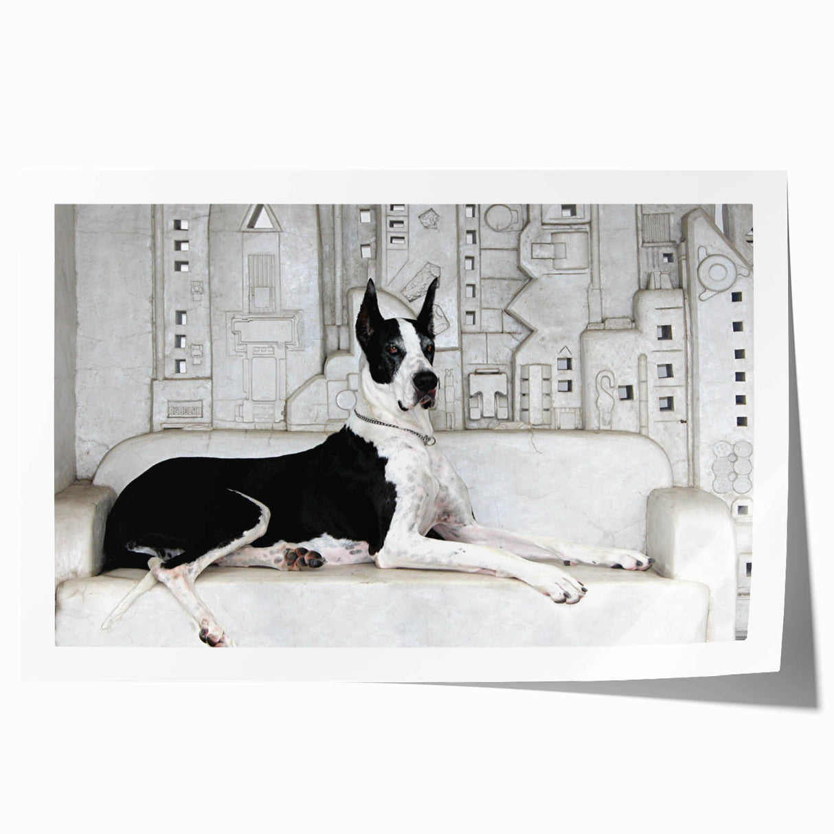 Vibrant wall art print featuring a playful design of various dog breeds in a wild setting, showcasing vivid colors and intricate details, ideal for animal lovers.