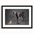 Framed wall art featuring a collection of dogs in a wildlife design, presented in a sleek black frame with a mat, perfect for pet lovers and home decor enthusiasts.