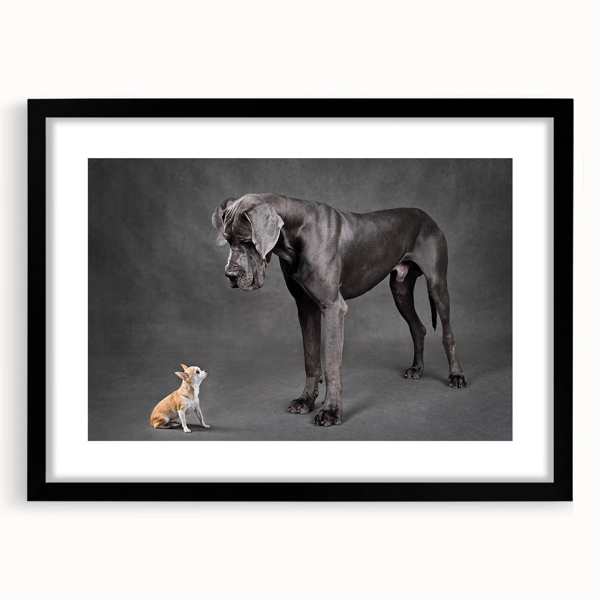 Framed wall art featuring a collection of dogs in a wildlife design, presented in a sleek black frame with a mat, perfect for pet lovers and home decor enthusiasts.