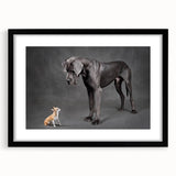 Framed wall art featuring a collection of dogs in a wildlife design, presented in a sleek black frame with a mat, perfect for pet lovers and home decor enthusiasts.