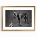 Gold-framed wall art featuring a vibrant dog design from the "Animals A Wild Life" collection, set against a white mat to enhance its colorful details.