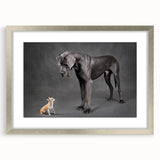 Framed wall art featuring a vibrant dog design from the "Animals: A Wild Life" collection, showcased with a silver frame and mat, perfect for pet lovers' decor.