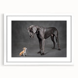 Framed wall art featuring a vibrant dog design from the Animals A Wild Life collection, set against a white mat, showcasing a playful and colorful aesthetic ideal for pet lovers' home decor.