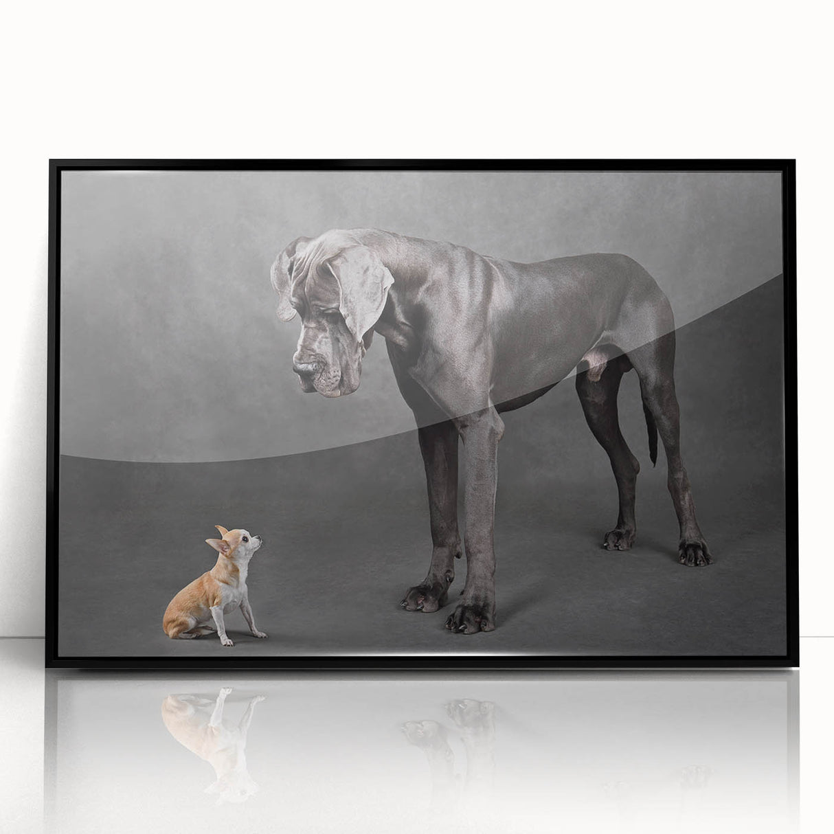 Framed black wall art featuring a vibrant design of various dog breeds in a wild setting, showcasing intricate details and colors, perfect for animal lovers.